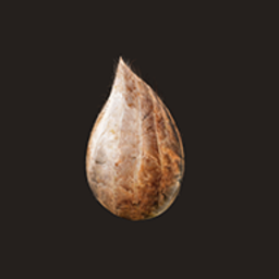 lls_app_2025_apk手机版中文版下载-轮回lls_app_2025_apk手机版下载 v0.55 安卓版