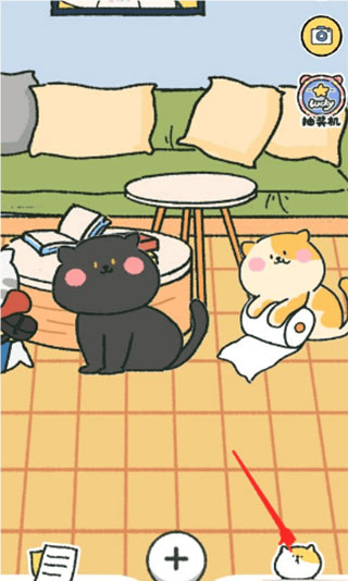 snh48欧洲码和亚洲码图片记账本删除