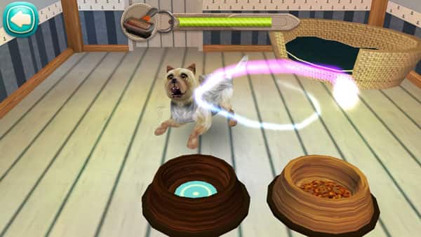 亚洲日韩精品综合 亚洲日韩精品综合如何训练狗狗?