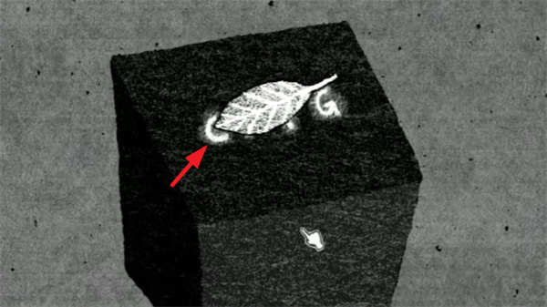 BBw欧美成人网站